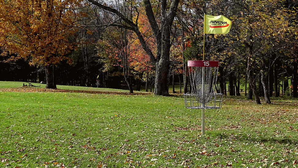 Innova Flag on a basket blowing in the wind with leaves blowing off the trees