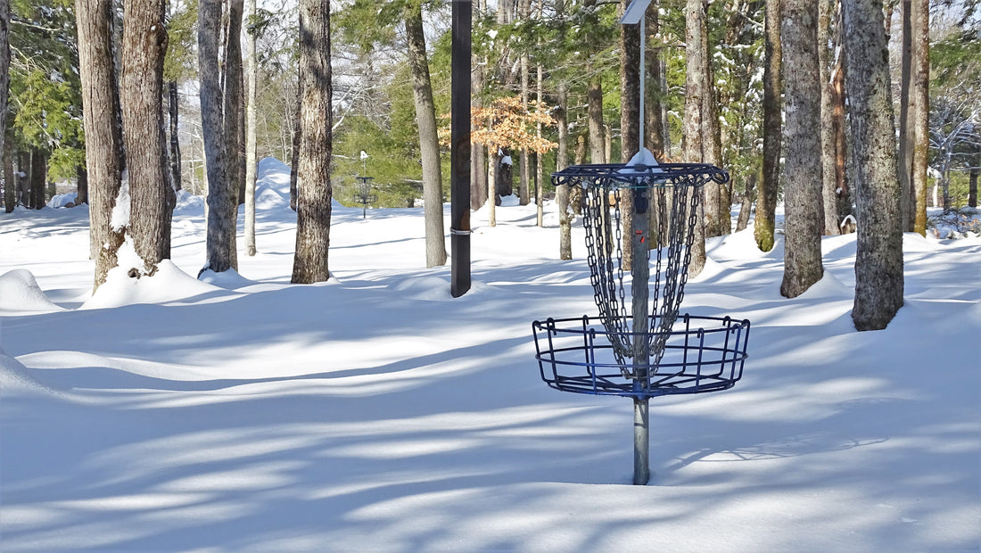 owl disc golf basket at sdg in the winter