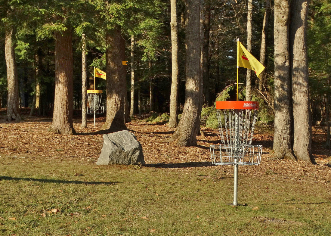 Why Do You Play Disc Golf?