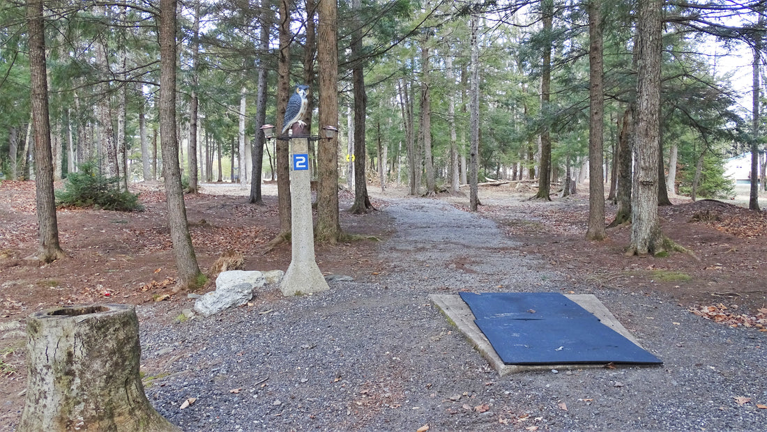 looking at the tee pad of hole 2 on the owl course at sabattus disc golf