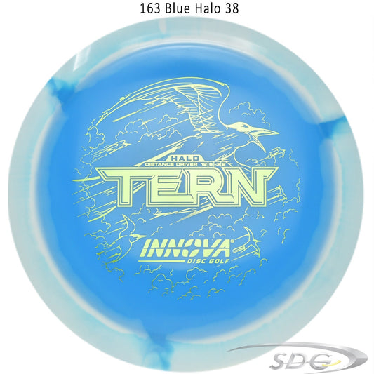 innova-halo-star-tern-disc-golf-distance-driver 163 Blue Halo 38 