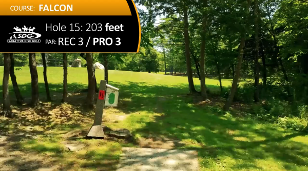 Hole 15