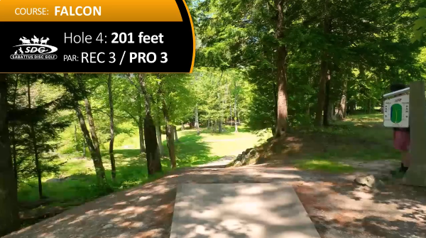 Hole 4