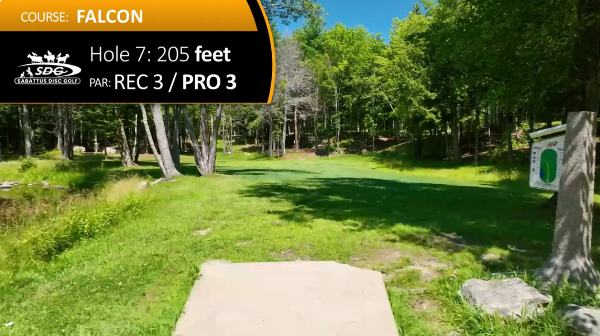 Hole 7