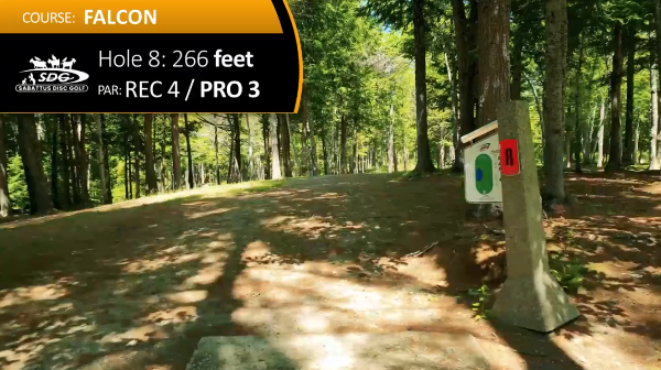 Hole 8
